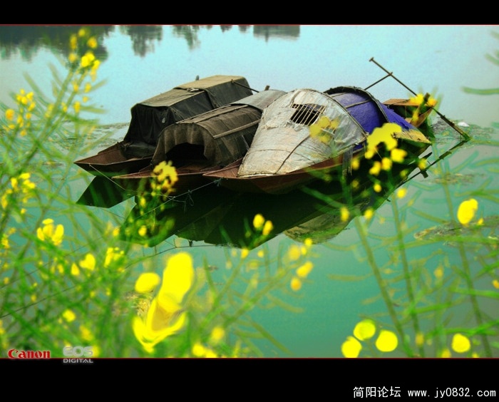 泊.jpg