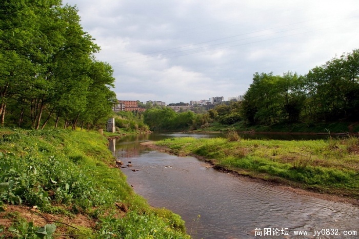 IMGP4739.jpg