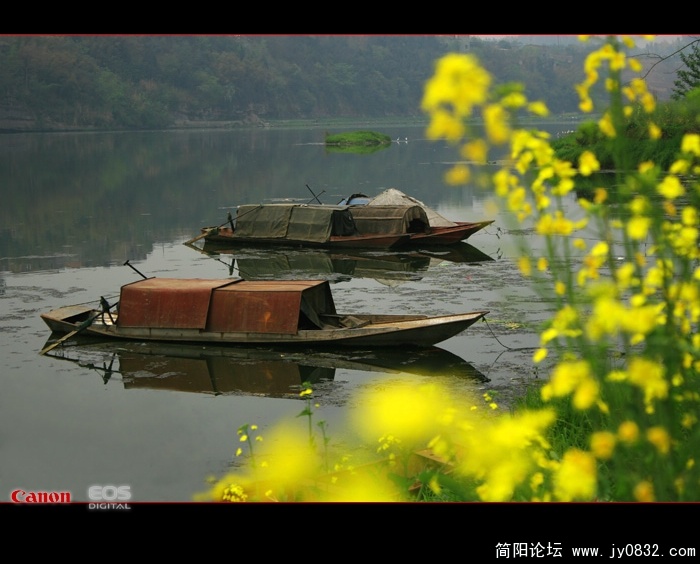 IMG_6886.jpg