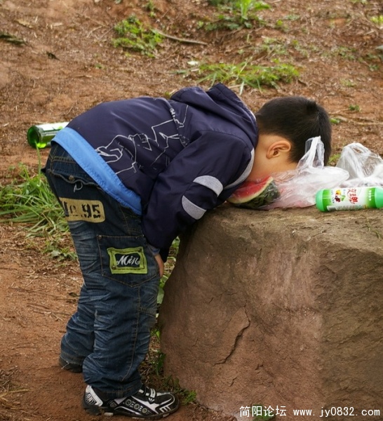 IMGP4569.jpg