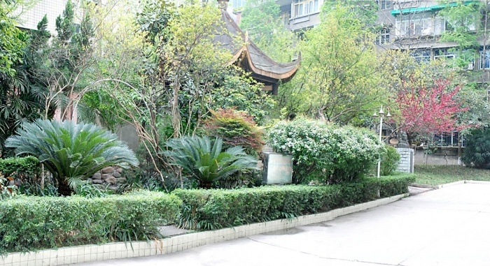 老校区.jpg