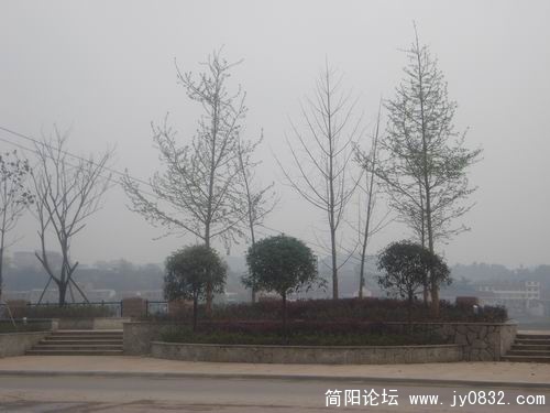DSC04906.JPG