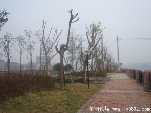 DSC04902.JPG