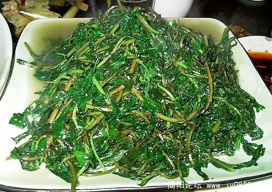 照片0910.jpg