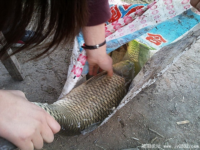 照片0891_调整大小.jpg