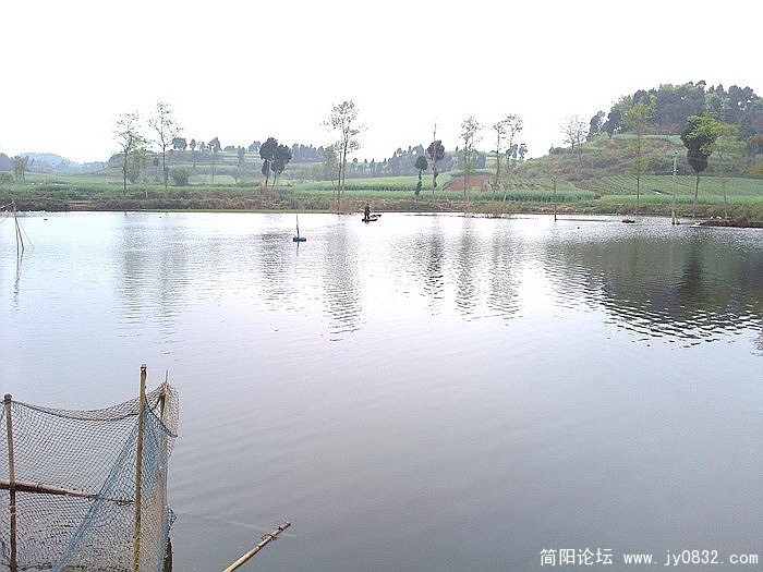 照片0795_调整大小.jpg