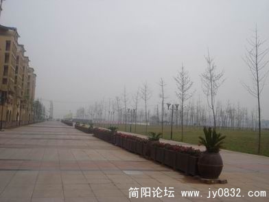 DSC04881.JPG