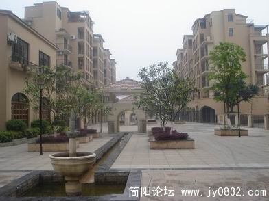 DSC04875.JPG