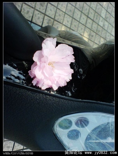 nEO_IMG_DSC04547.jpg