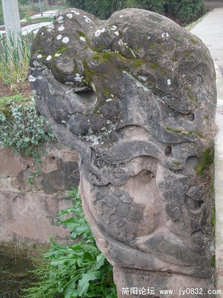5.JPG