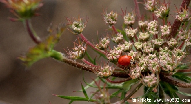 照片 111.JPG