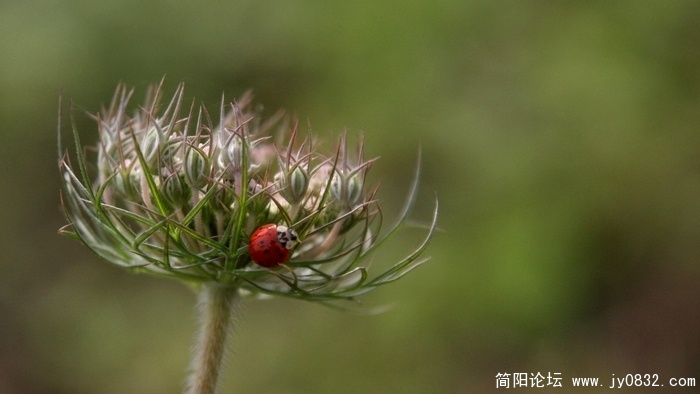 照片 110.JPG