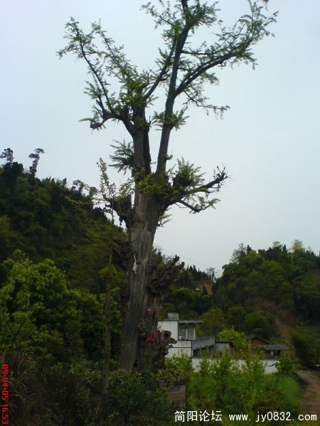 DSC04627.JPG