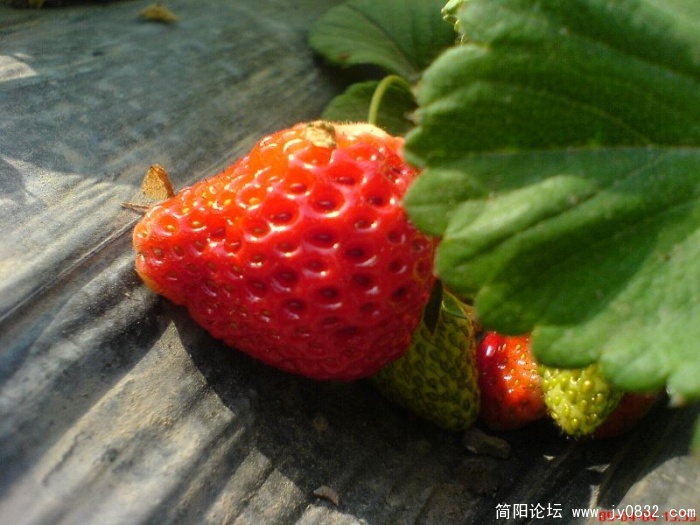 DSC04598.JPG