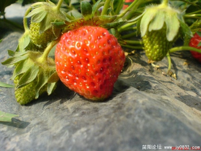DSC04604.JPG