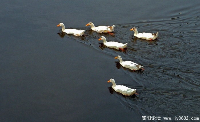 巡游 3 X.jpg