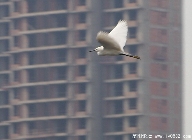 随 意 (10).jpg