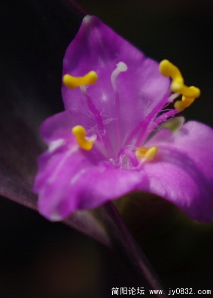 image32.jpg