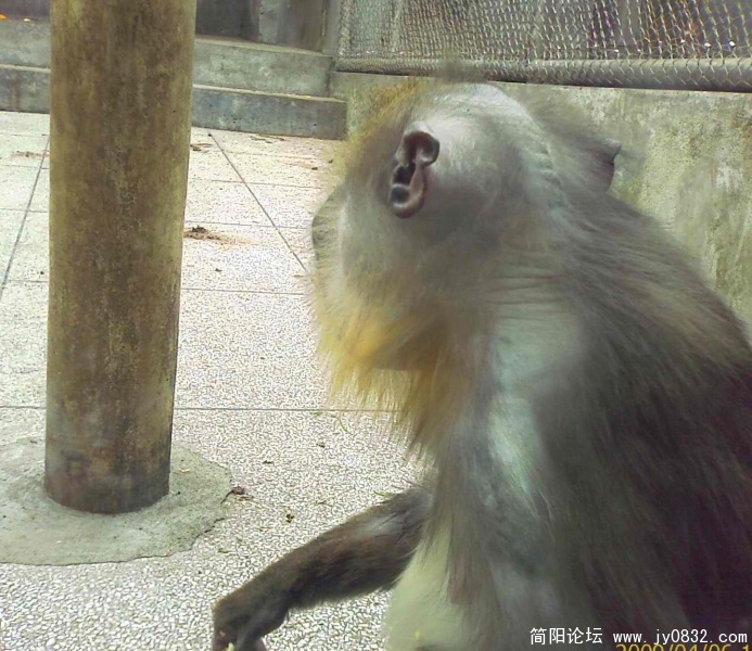不配合，照到后脑勺！