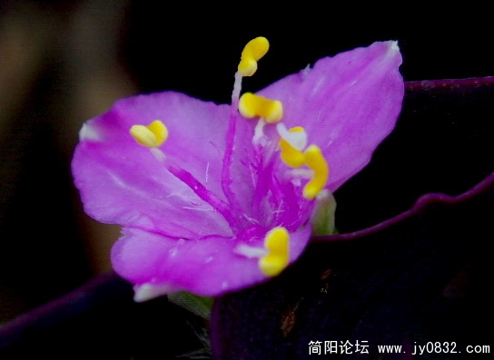 image29.jpg