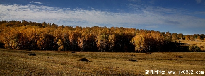 06.jpg