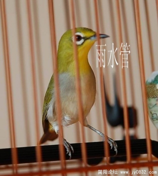 项目1.jpg