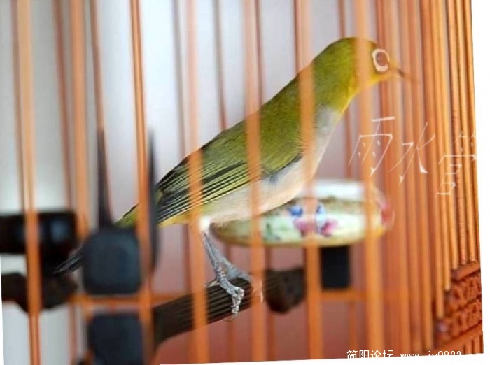 项目0.jpg