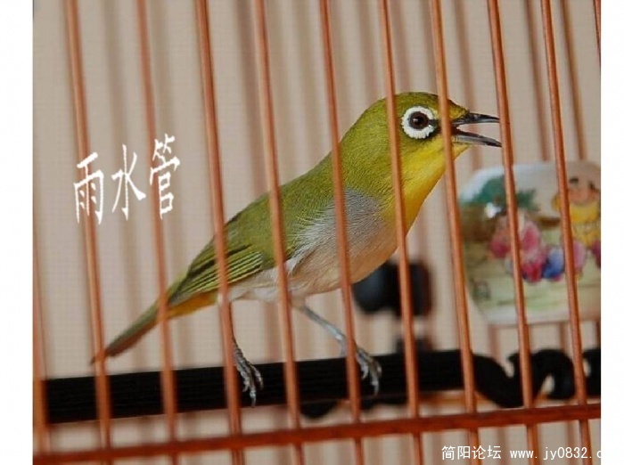 项目13.jpg