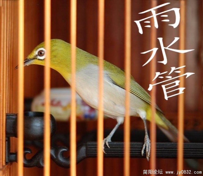 项目2.jpg