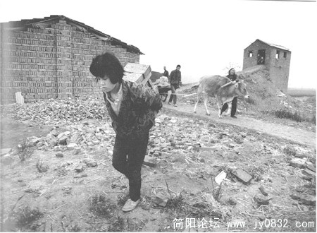 为了能上学，每天去给一家窑厂背砖坯，她每次背16块，重40公斤，走140米，只得3分3厘工钱
