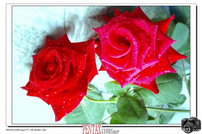 IMGP4785.jpg