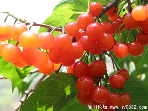 未命名.jpg