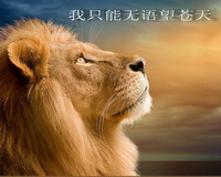我只能无语向苍天.jpg