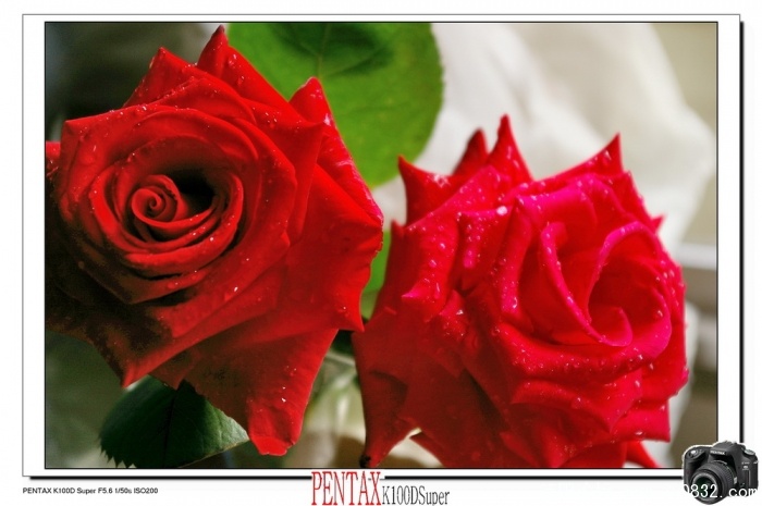 IMGP4789.jpg