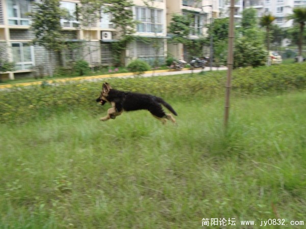 dsc00858.jpg