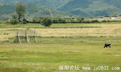 DSC_1238-W.jpg