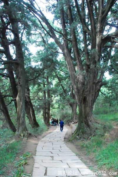 翠云廊风景区