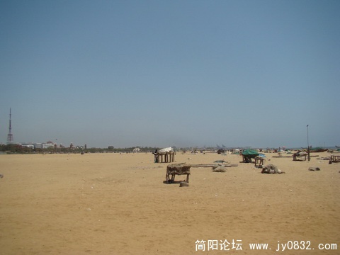 beach.JPG