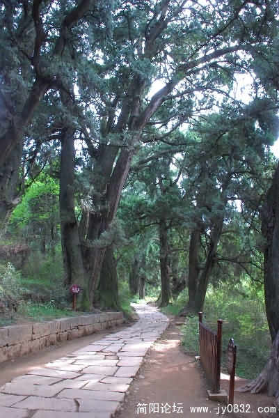 翠云廊风景区