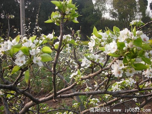 DSCN3789.JPG