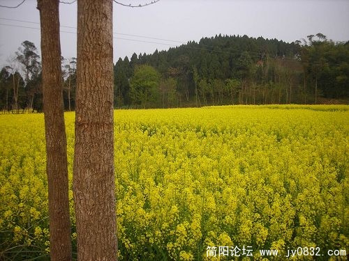 DSCN3814.JPG