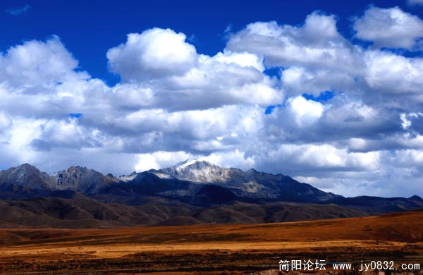 神山.jpg