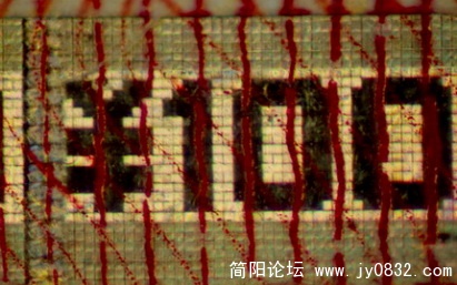 xin (10).jpg