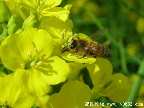 DSCN3755.JPG