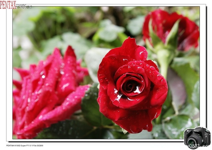_IGP4814.jpg