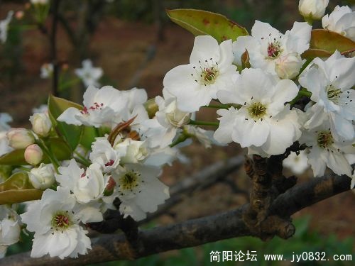 DSCN3776.JPG
