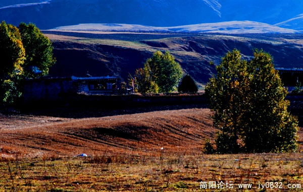 秋景.jpg