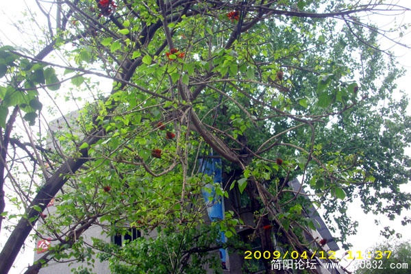 DSCI1467.jpg