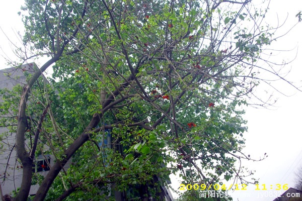 DSCI1466.jpg