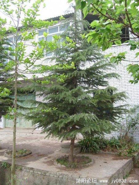 11.JPG